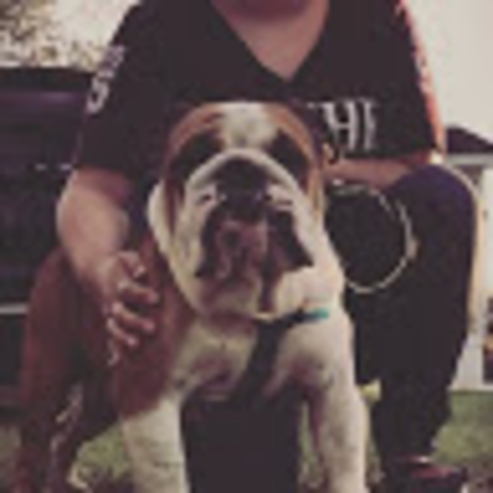 Meet your Posher, Beauty